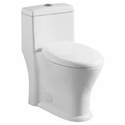 Project Source 1-Piece Toilet with Dual Flush - 4-L/6-L - White