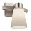 Project Source Vanity Light - 1 Light - 60 W - Brushed Nickel -Project Source Shop 30739574 L