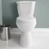 Project Source Total Eco 2-Piece Toilet with Microban Seat - 4.8-L -Project Source Shop 78195087d L