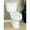 Project Source Evalin 2-Piece Toilet - Dual Flush - 4.1-L/6-L -Project Source Shop 78195088b L