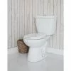 Project Source 2-Piece Toilet - Dual Flush - 4-L/6-L - White -Project Source Shop 78195089b L