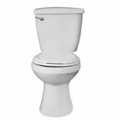 Project Source Toilet to Grab 2-Piece Toilet - Round Front - 6-L - White