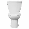 Project Source Minuet 2-Piece Toilet - Round Bowl - 6-L -Project Source Shop 78195093b L