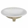 Project Source Oval Drop-in Lavatory - Vitreous China 2 Project Source Oval Drop-in Lavatory - Vitreous China -Project Source Shop 78195098 L