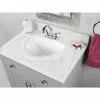 Project Source Ladelle Semi-Oval Drop-in Lavatory - Vitreous China -Project Source Shop 78195101c L