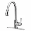 Project Source Kitchen Faucet with Pull-Down Spout - 1 Handle - Chrome 2 Project Source Kitchen Faucet with Pull-Down Spout - 1 Handle - Chrome -Project Source Shop 80375155 L