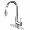 Project Source Pull-Out Kitchen Faucet - Single-Lever - Chrome Finish -Project Source Shop 80375157 L